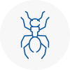 Ant Removals In Docklands