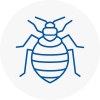 Bed Bug Extermination In Docklands