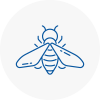 Bee Nest Removal Docklands