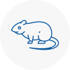 Rat Control Docklands
