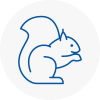 Docklands Rodent Removals
