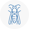 Docklands Wasp Nest Removal